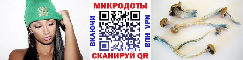 нарко площадка телеграм  kraken зеркало  Галлюциногенные грибы мухоморы  Могоча  где купить  